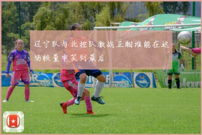 辽宁队与北控队激战正酣谁能在这场较量中笑到最后