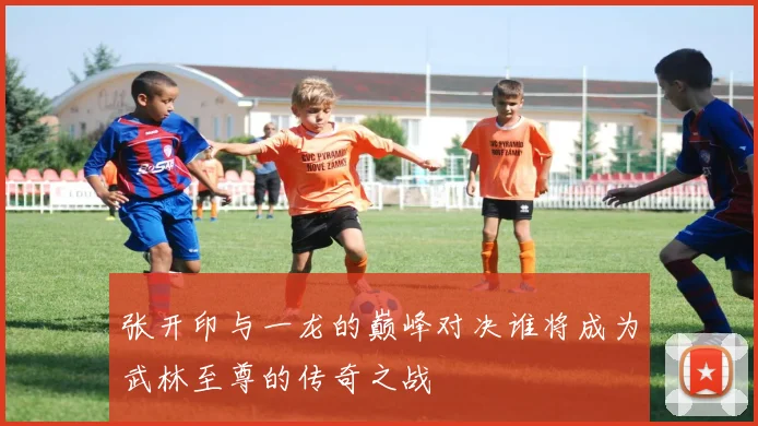 张开印与一龙的巅峰对决谁将成为武林至尊的传奇之战