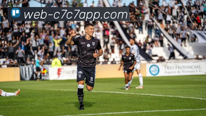 c7c7.app平台生态图