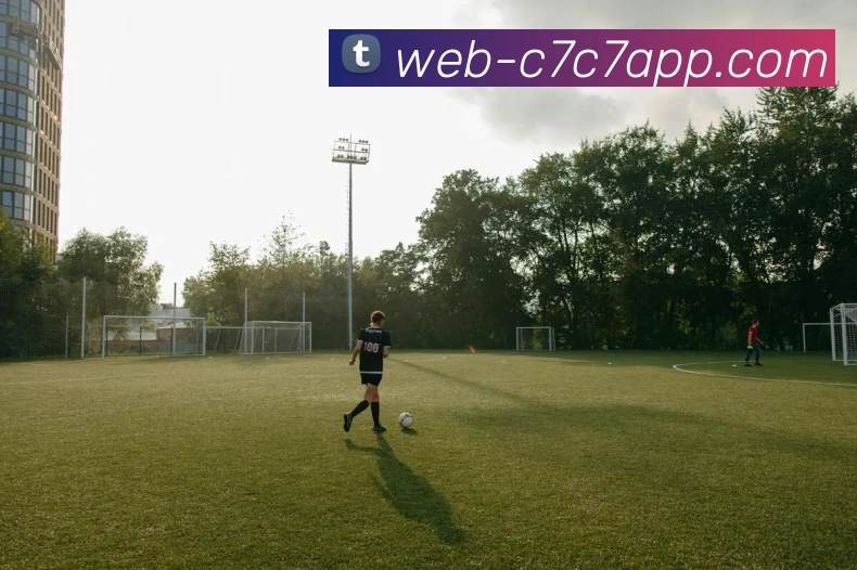 c7c7.app平台生态图