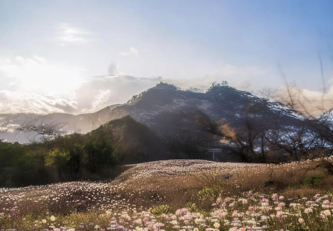 哥登堡vs马尔默：瑞超巅峰对决前瞻分析